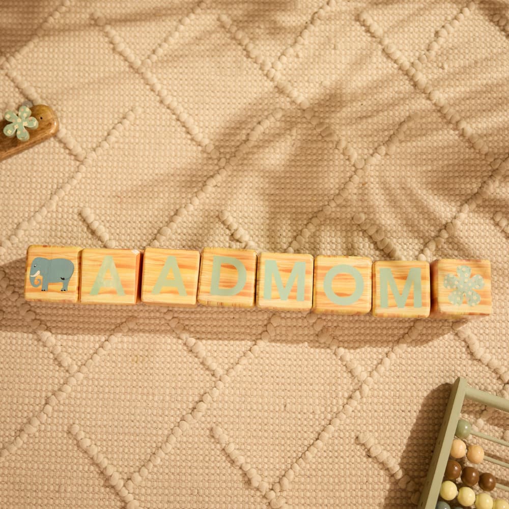 Little Founders Blocks - Aadmom 