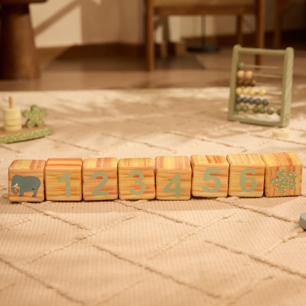 Little Founders Blocks - Aadmom 